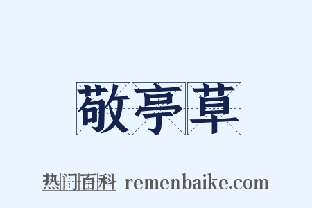 敬亭草是什么意思的图片